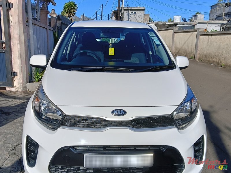 2019' Kia Picanto photo #1