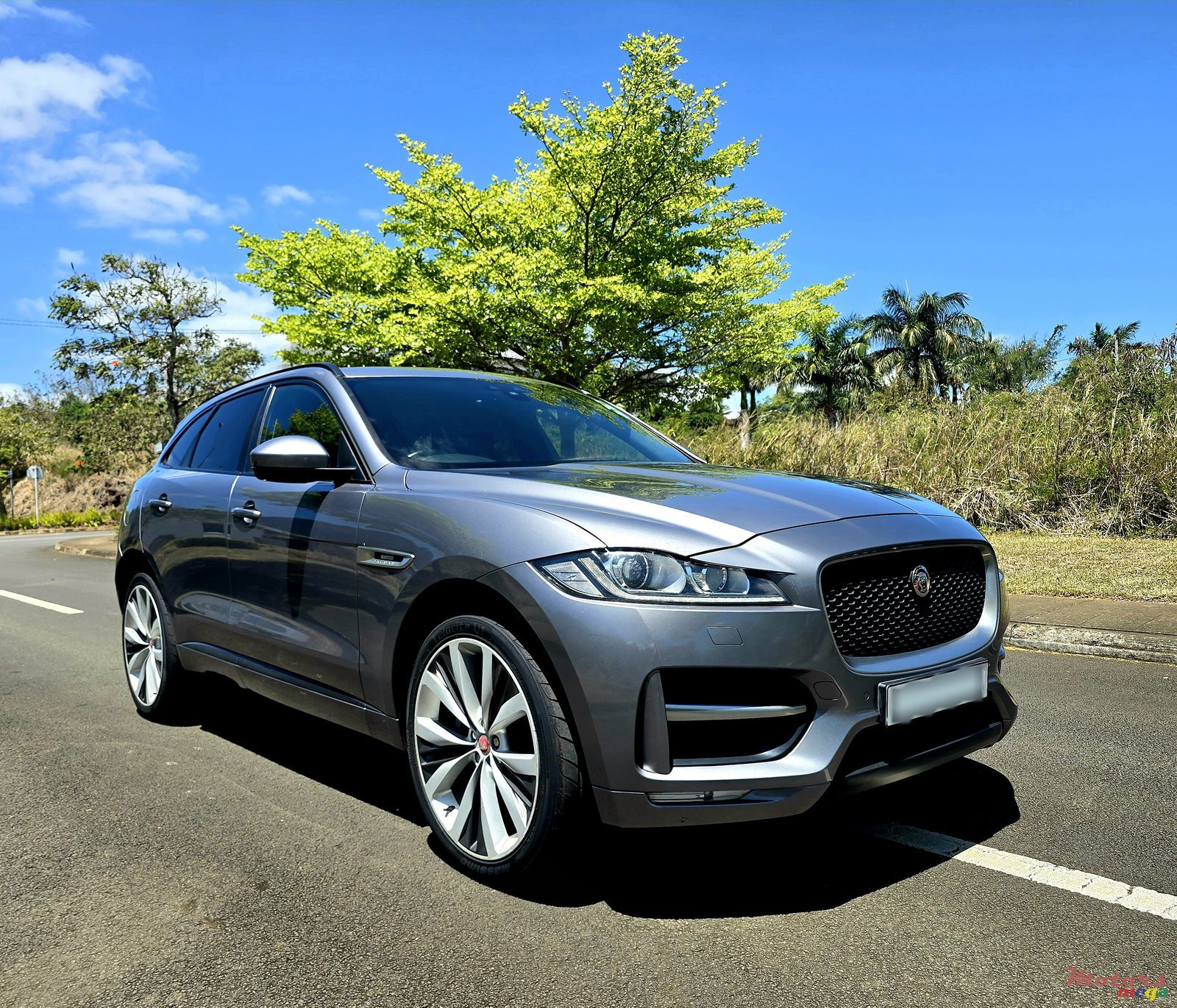 2019' Jaguar F-Pace R-Sport photo #1