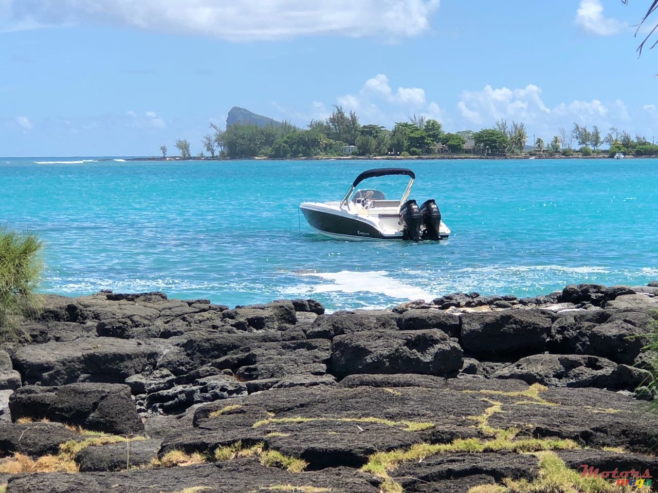 2016' Cobra photo #1