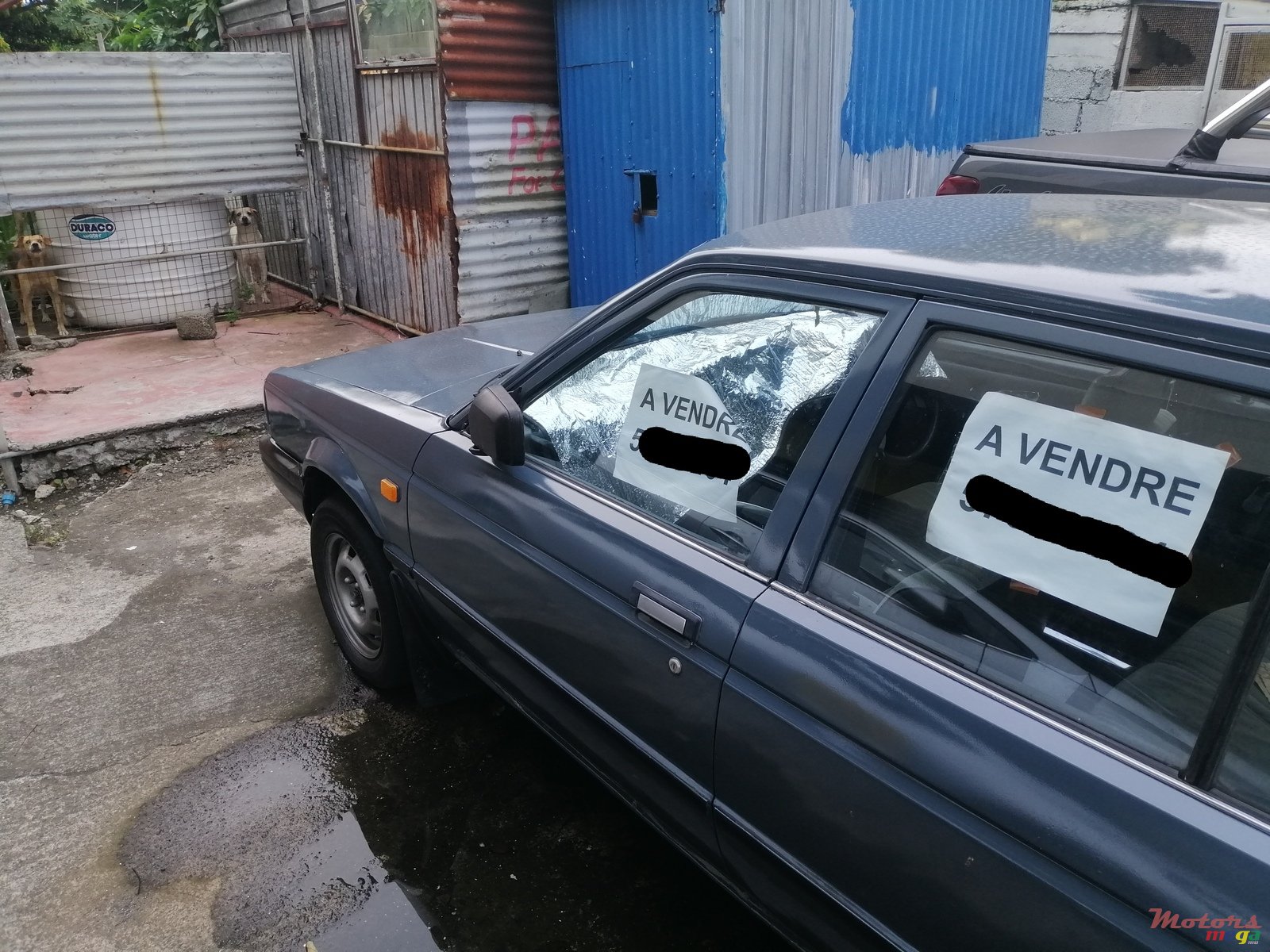 1988' Nissan Sunny B12 photo #1