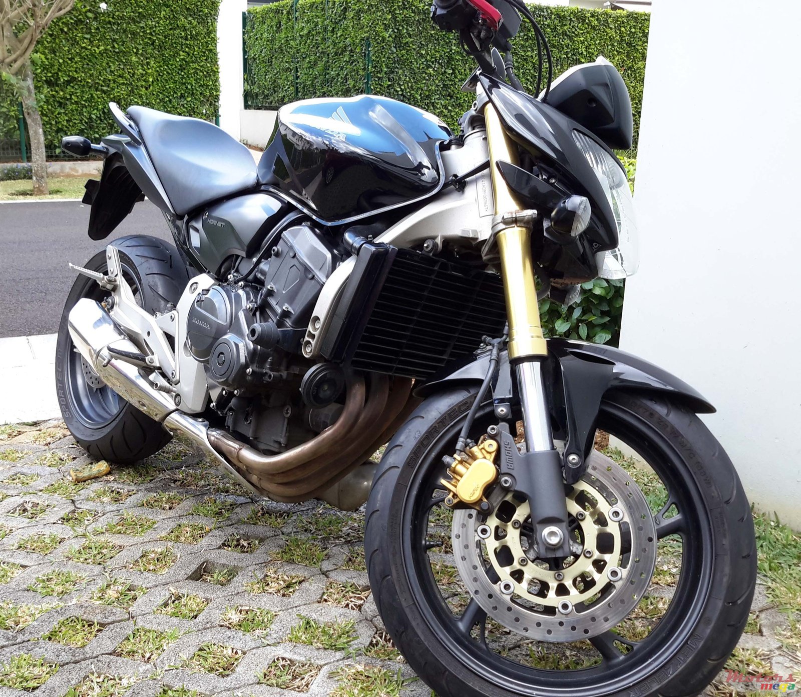 2008' Honda photo #3