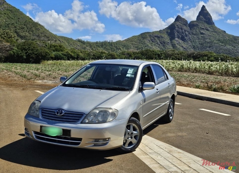 2003' Toyota Corolla NZE photo #1