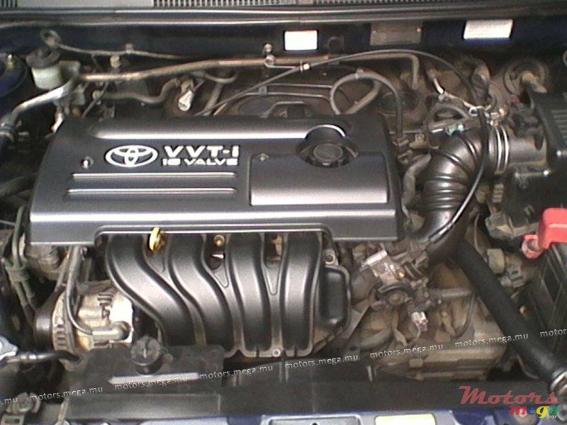 2002' Toyota photo #2