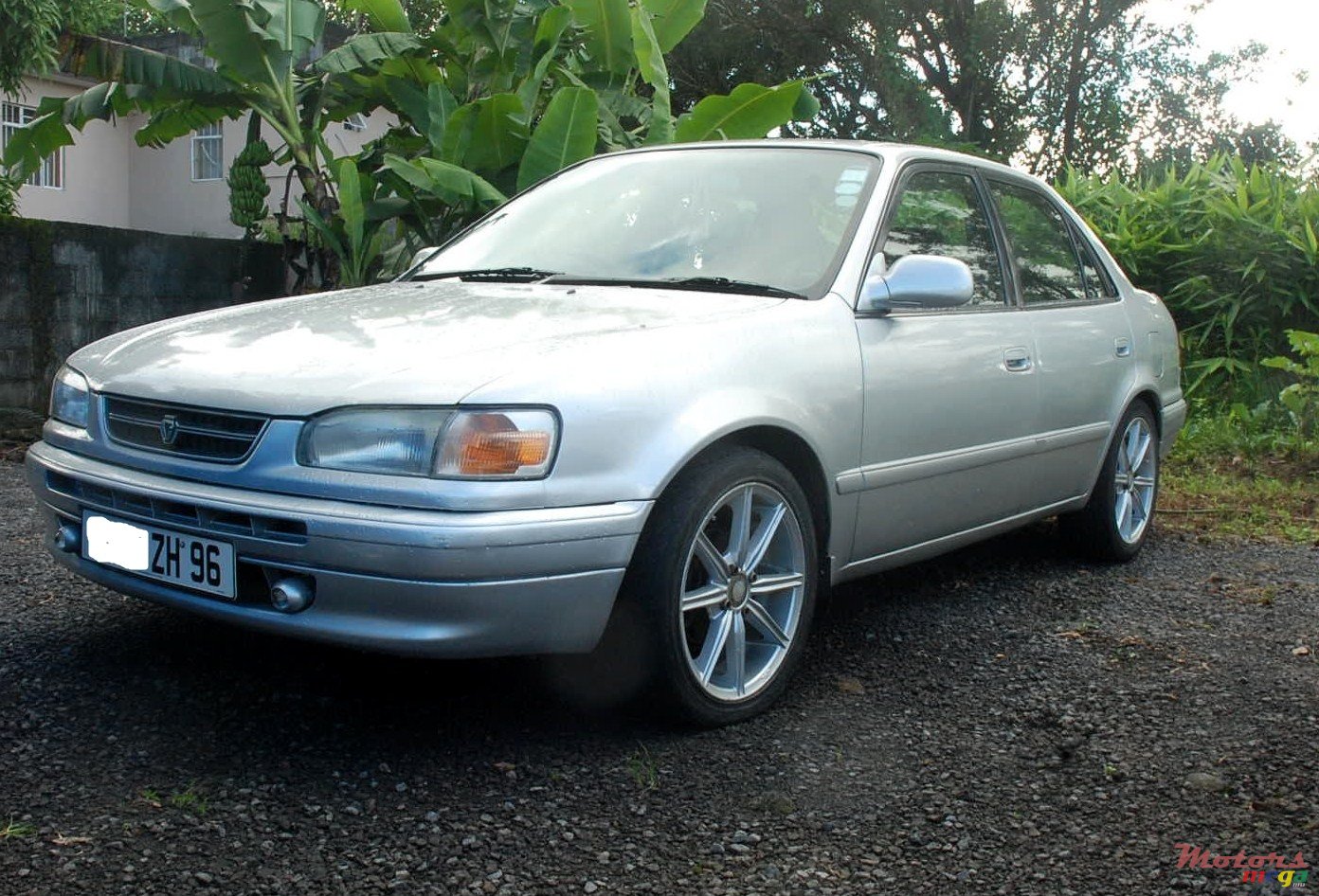 1996' Toyota Corolla photo #2