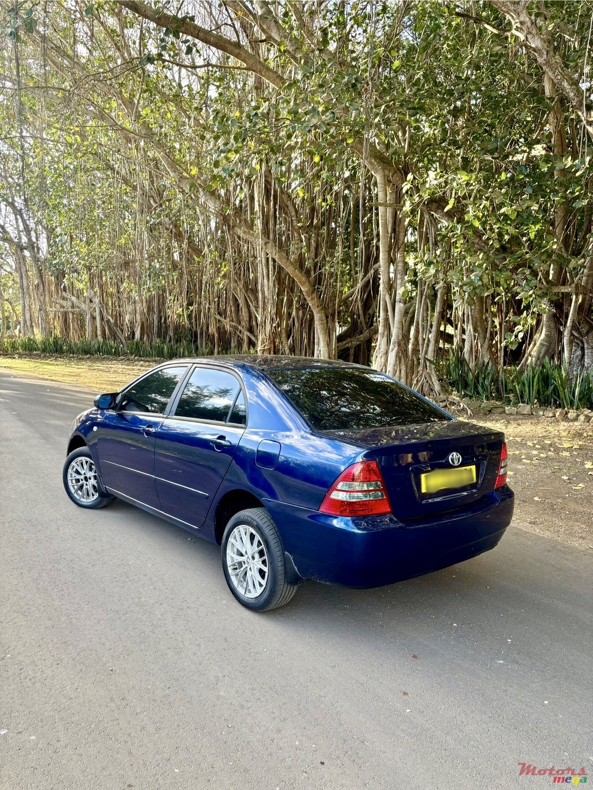2004' Toyota Corolla NZE photo #3