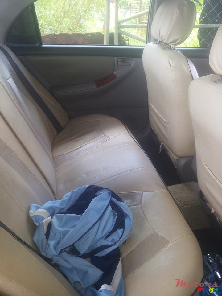 2001' Toyota Corolla NZE photo #5