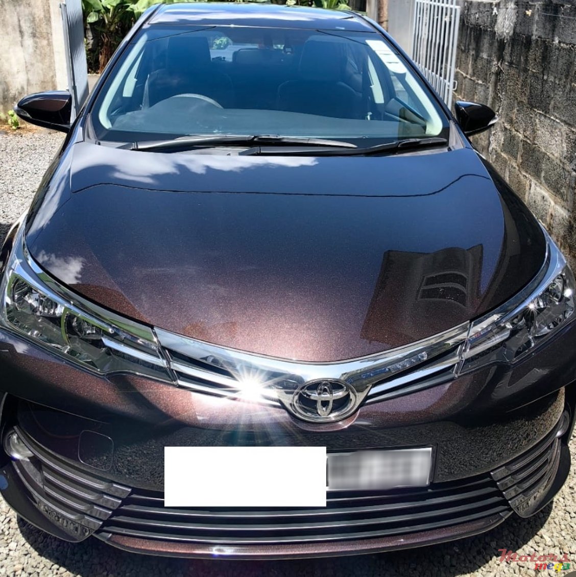 2020' Toyota Corolla photo #1