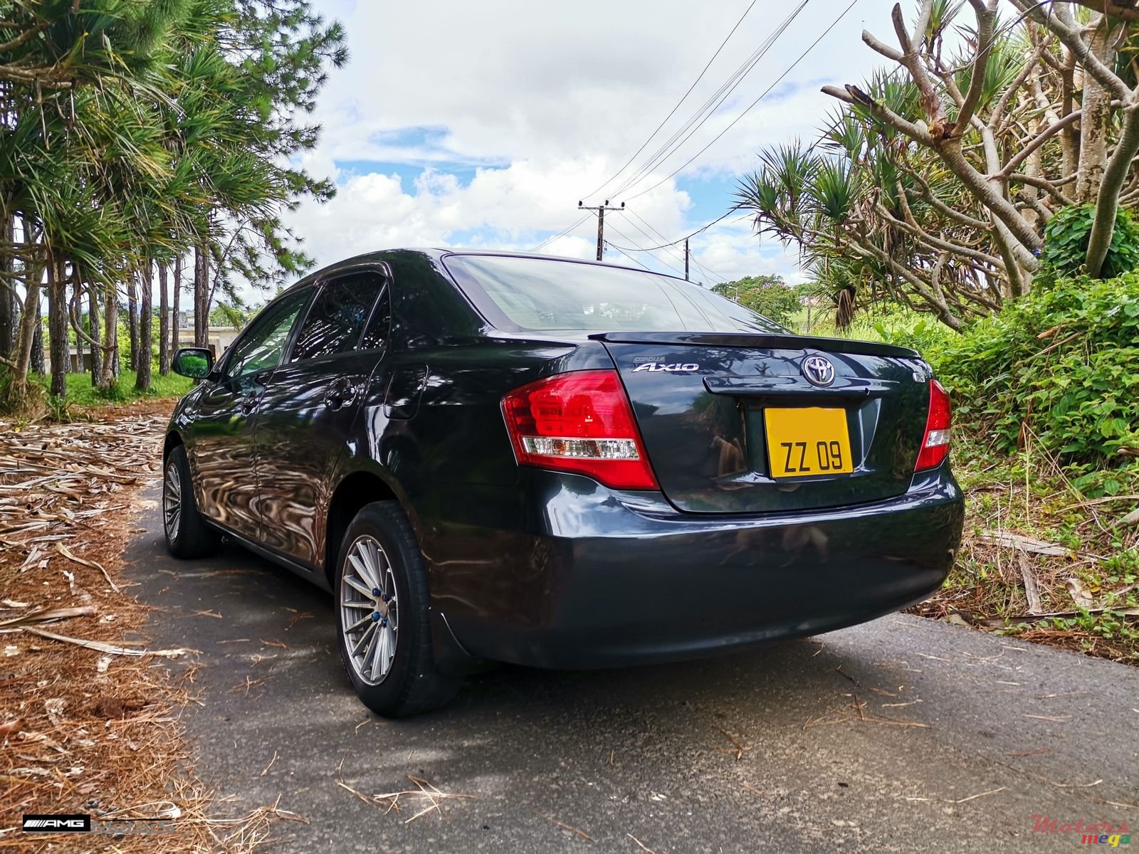 2009' Toyota Axio X Limited photo #5