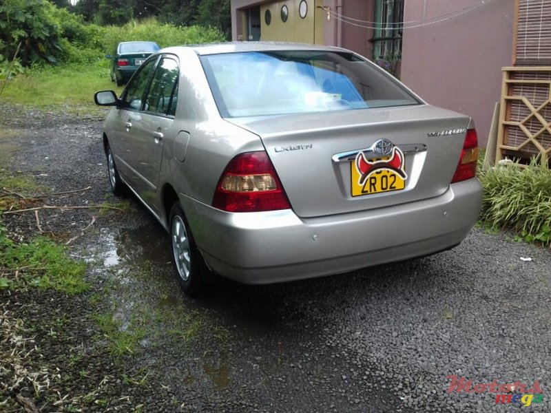 2002' Toyota Corolla NZE photo #2