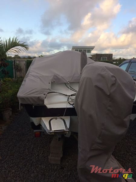 2001' Cobra photo #1