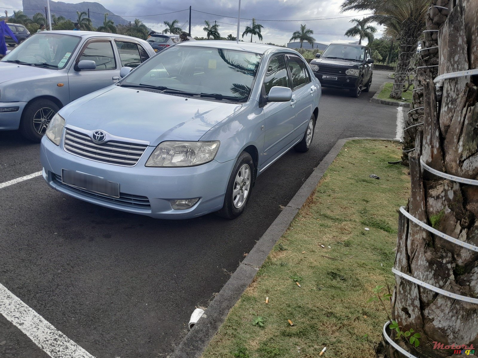 2007' Toyota Corolla photo #1