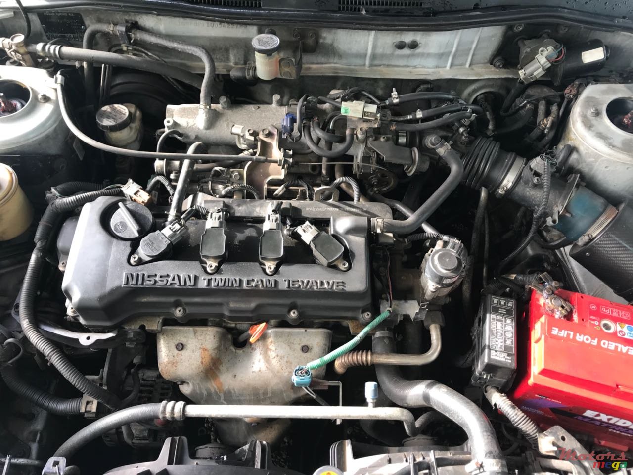 2001' Nissan Primera photo #4