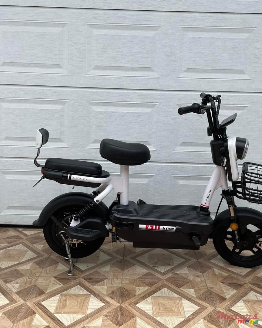 2022' Jinlun JNUNG photo #1