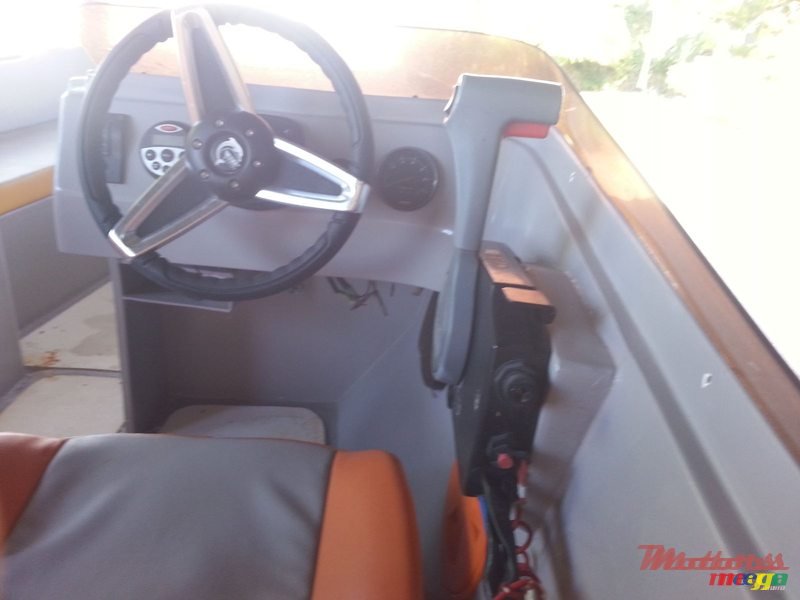 2017' Cobra photo #4