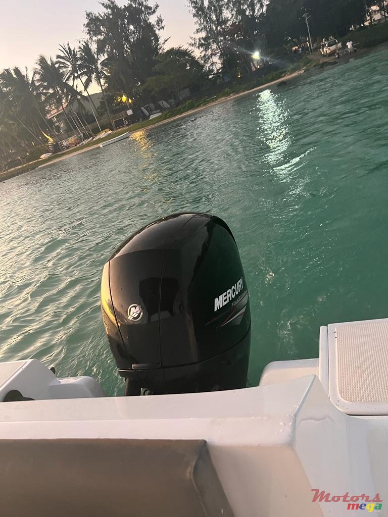 2019' Legend photo #4