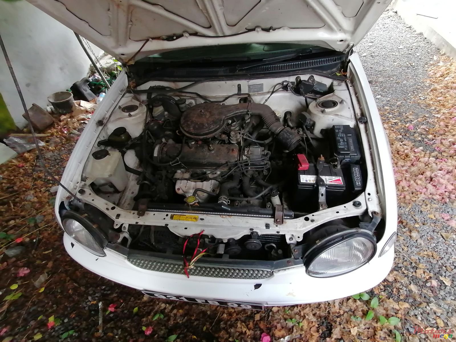 1999' Toyota Corolla photo #7