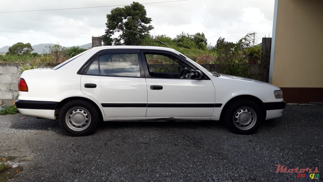 1997' Toyota Corolla photo #1