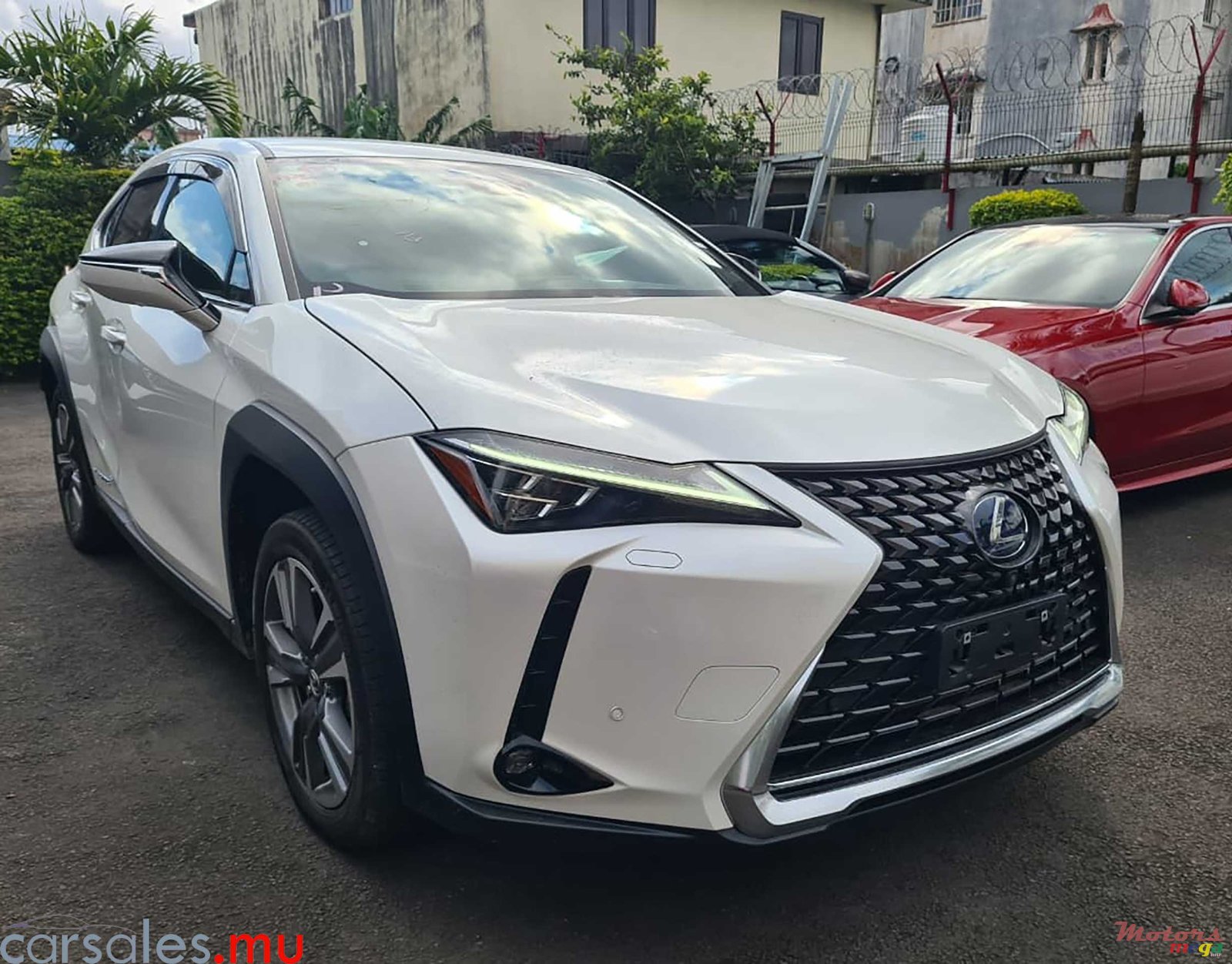 2022' Lexus UX 300e 152kW photo #2