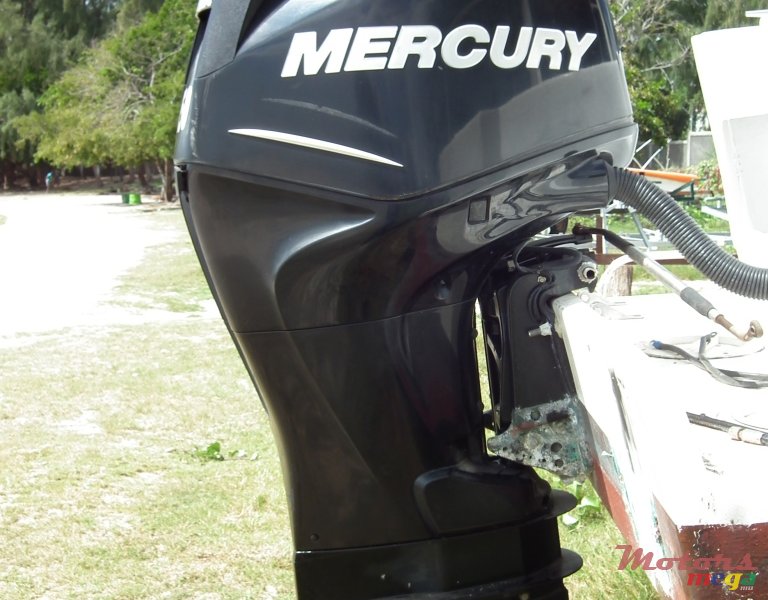 2011' Mercury photo #1