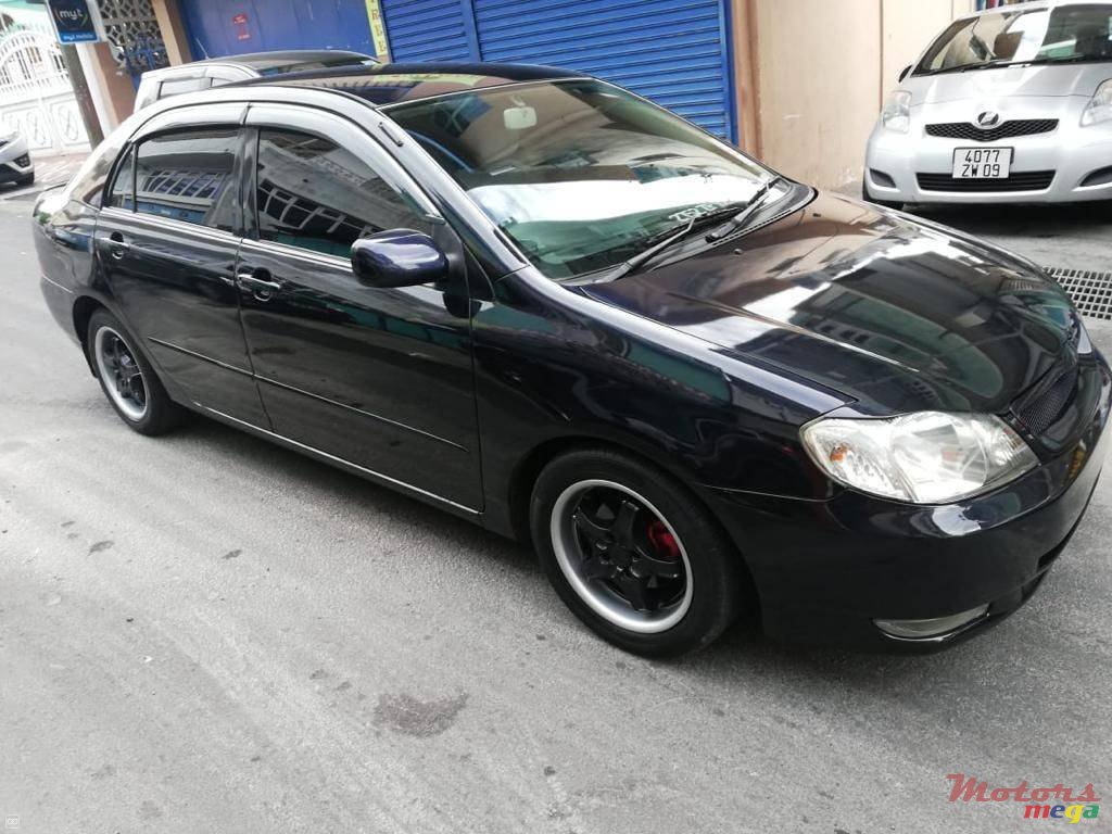 2002' Toyota Corolla NZE photo #7