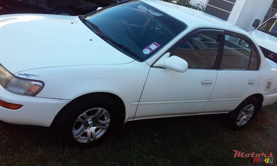 1992' Toyota Corolla EE 101 photo #2