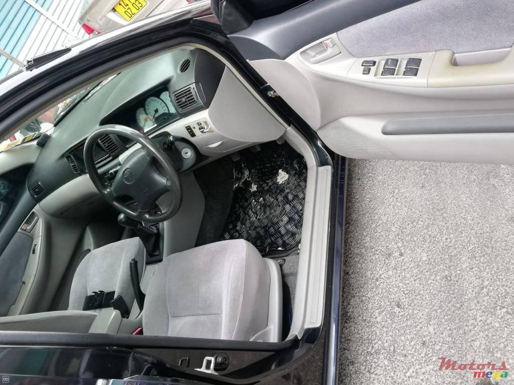 2002' Toyota Corolla NZE photo #2