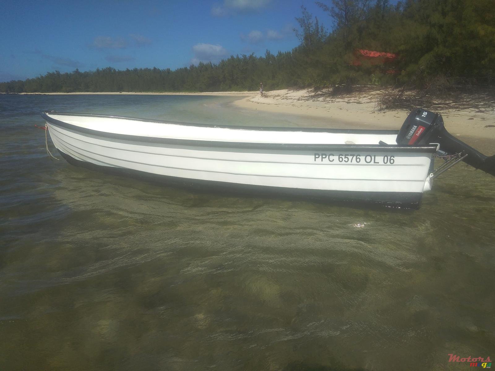 2005' Tremlett photo #4