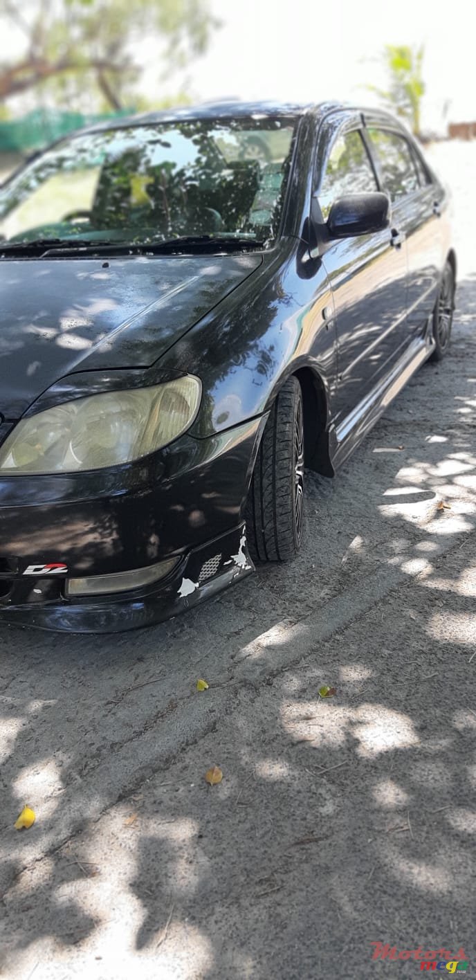 2003' Toyota photo #7