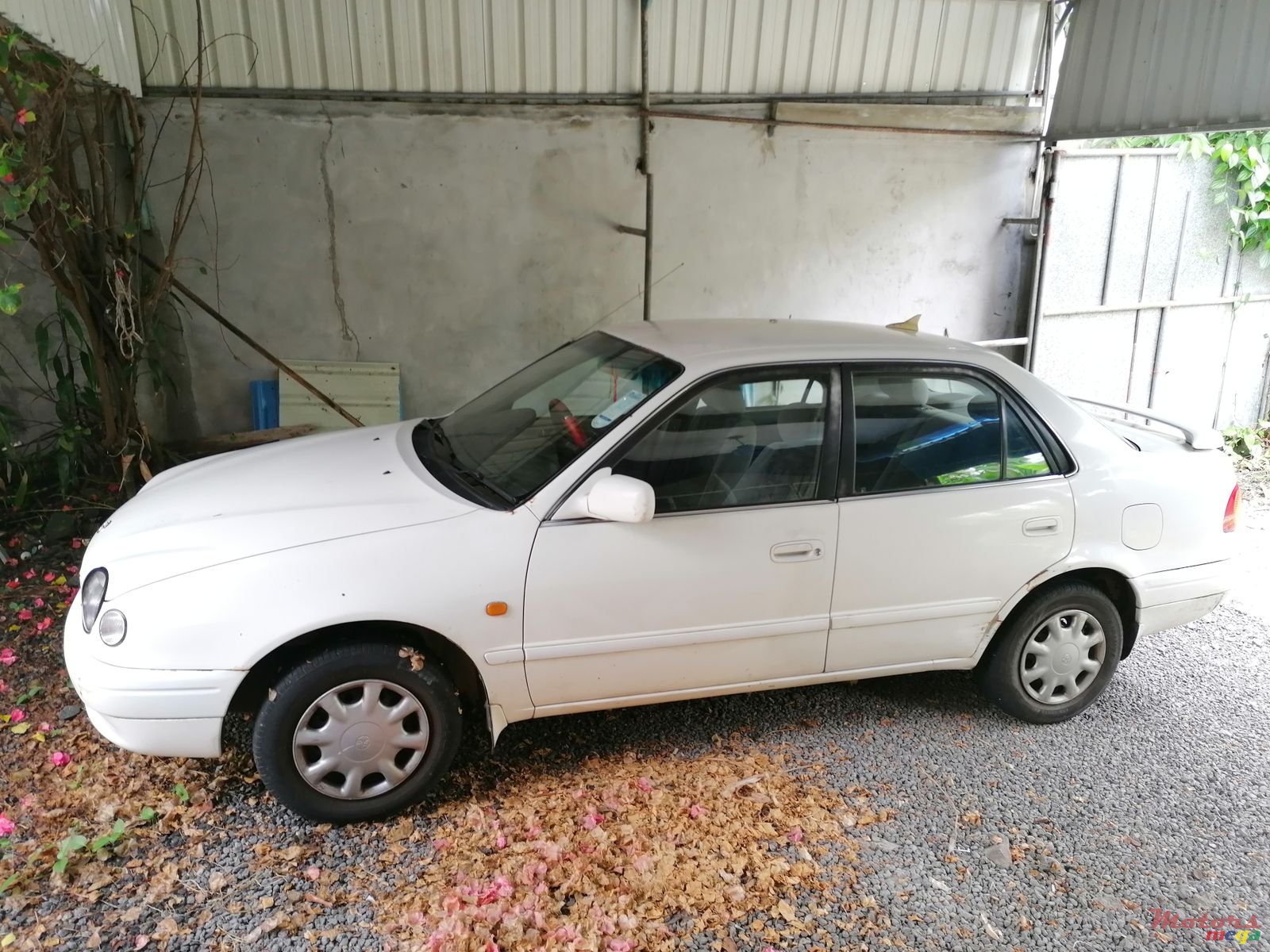 1999' Toyota Corolla photo #2