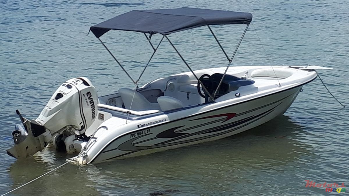 2008' Cobra photo #1