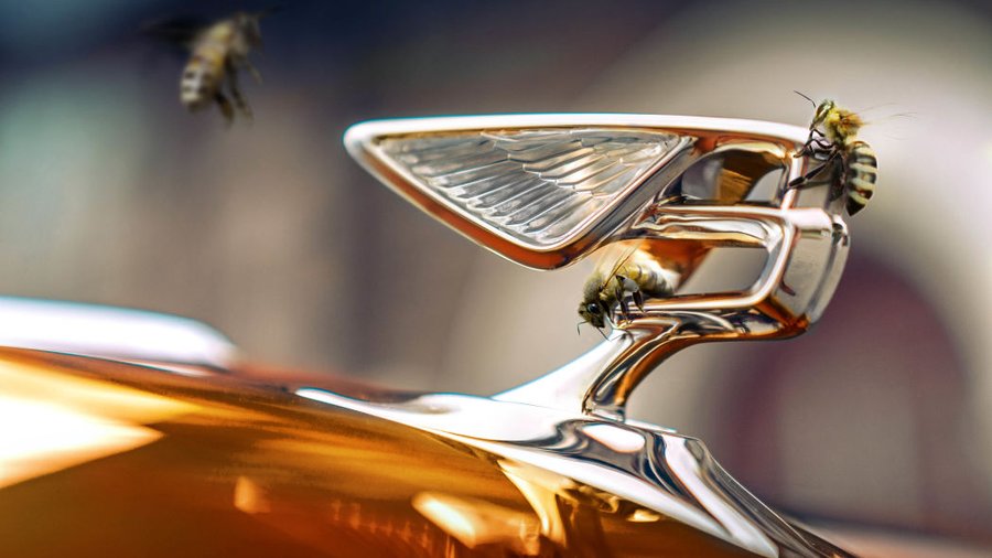 Bentley creates buzz with 'flying bees,' enters honey business