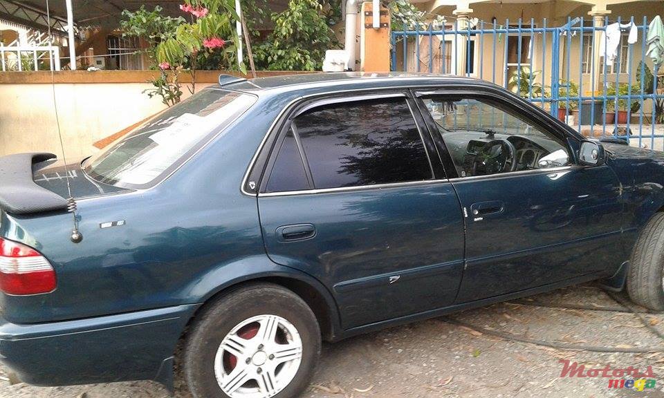 1998' Toyota Corolla photo #1