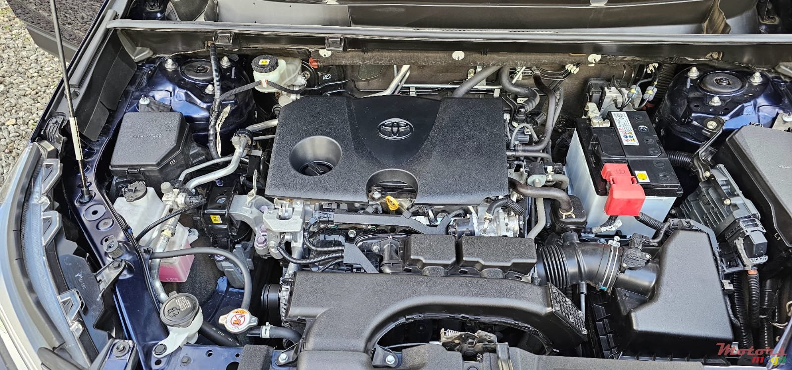 2021' Toyota RAV4 photo #5