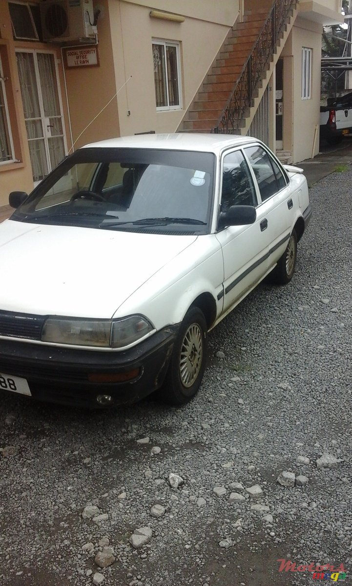 1988' Toyota Corolla photo #1