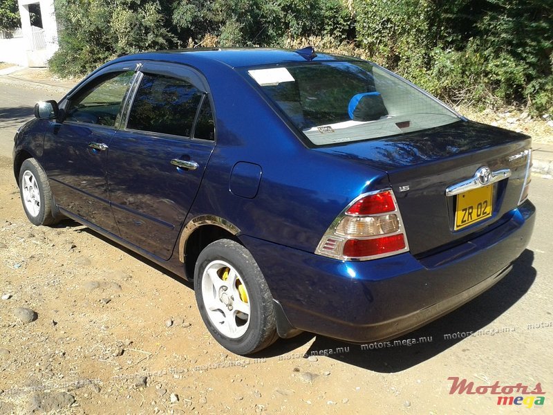 2002' Toyota Corolla XLI photo #3