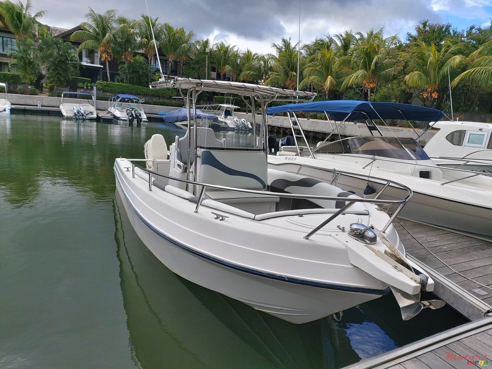 2017' Marlin photo #1