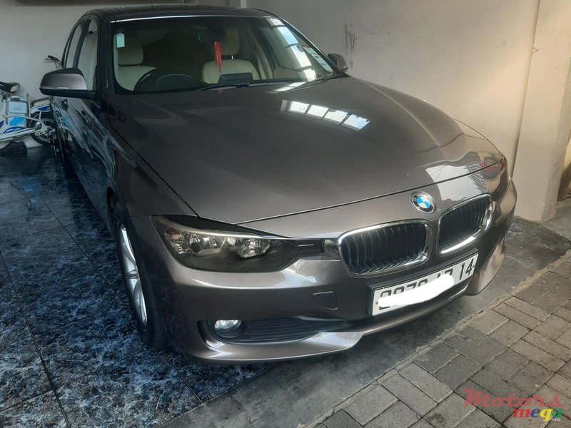 2014' BMW 3 Series 316i photo #2