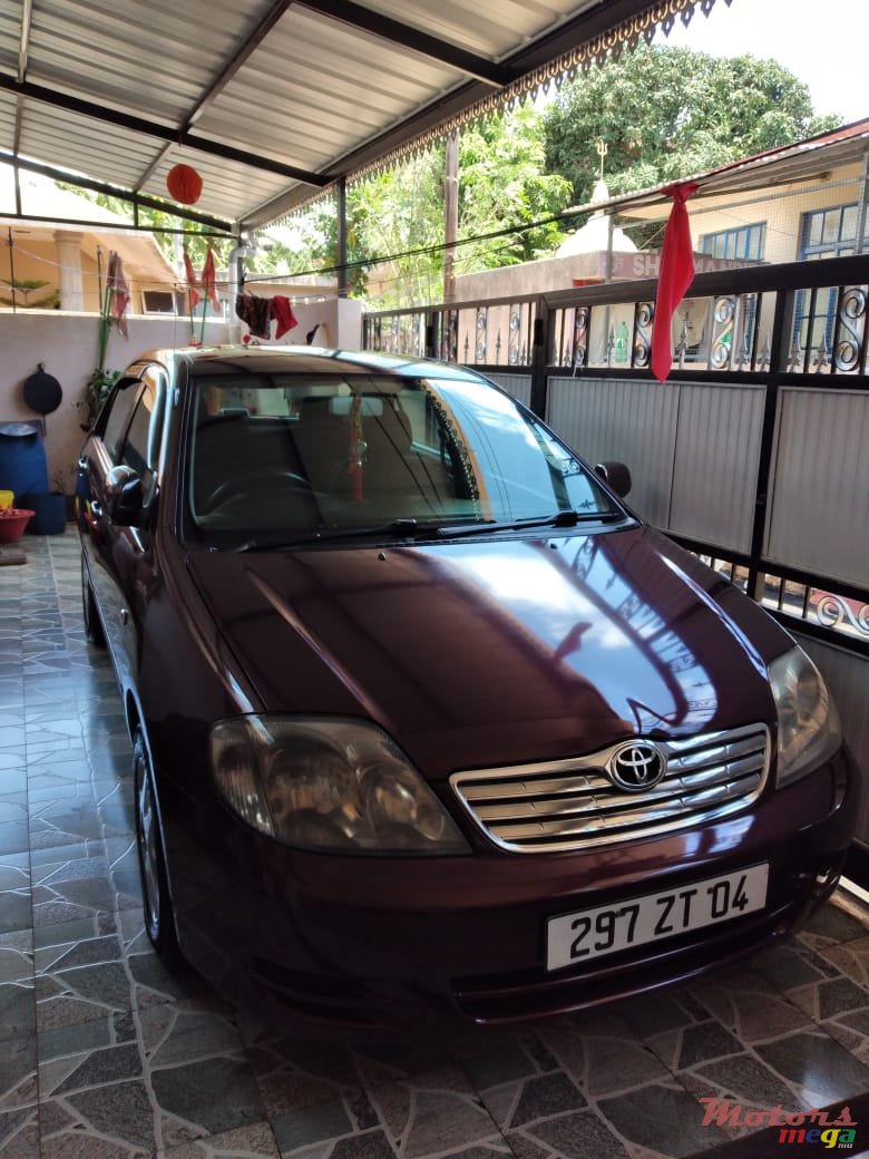 2004' Toyota Corolla NZE photo #5