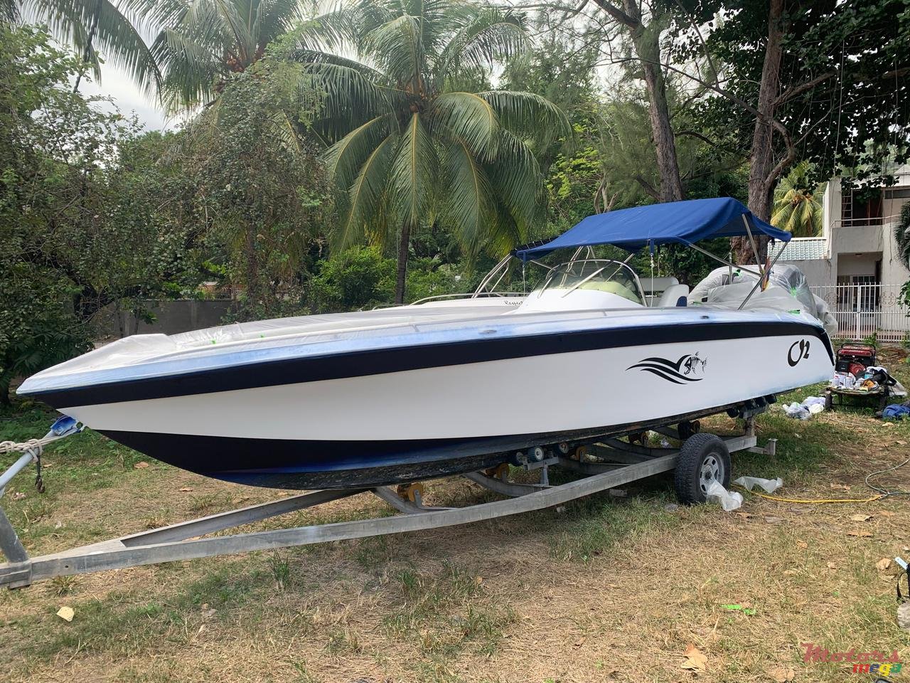 2009' Cobra photo #4