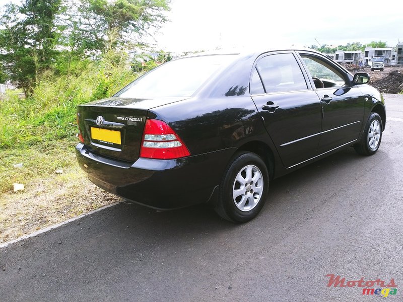 2004' Toyota Corolla Nze GLI Luxel photo #3