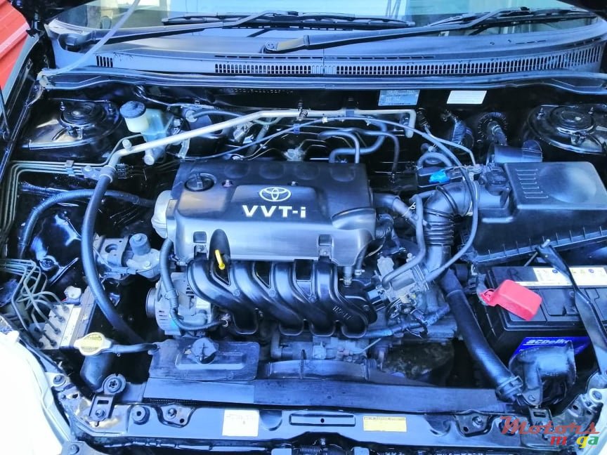 2002' Toyota Corolla photo #7