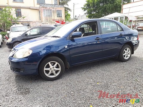 2005' Toyota Corolla NZE photo #2