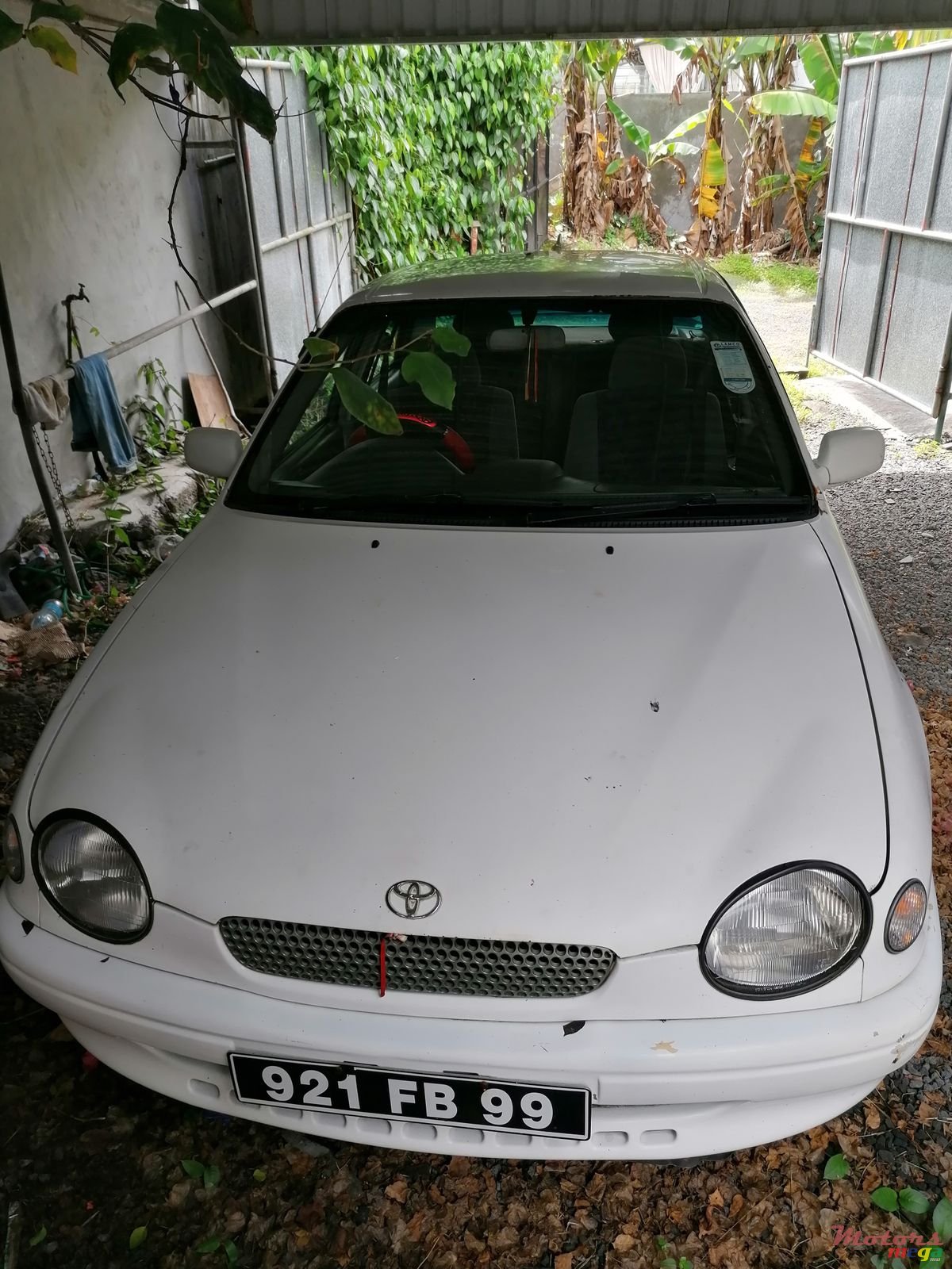 1999' Toyota Corolla photo #1