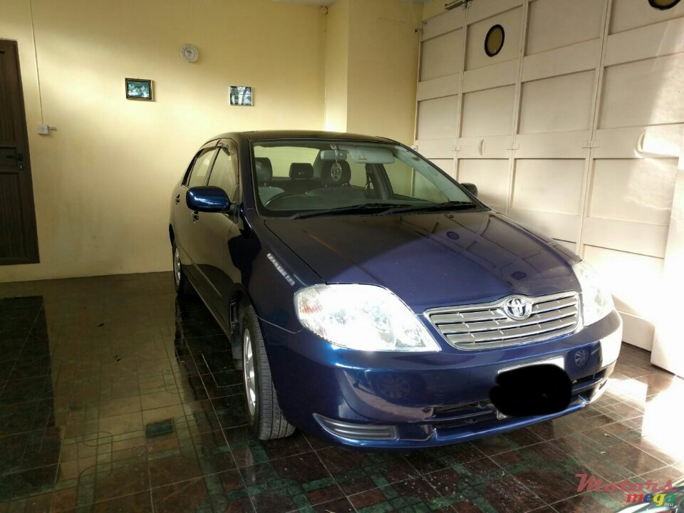 2002' Toyota Corolla photo #1