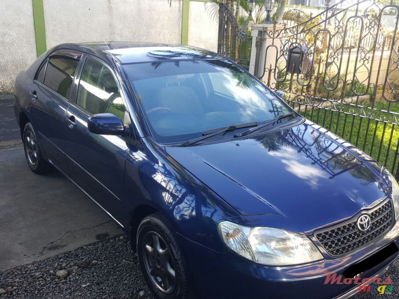 2002' Toyota Corolla NZE photo #1