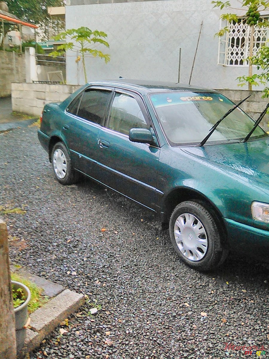 1998' Toyota Corolla photo #1