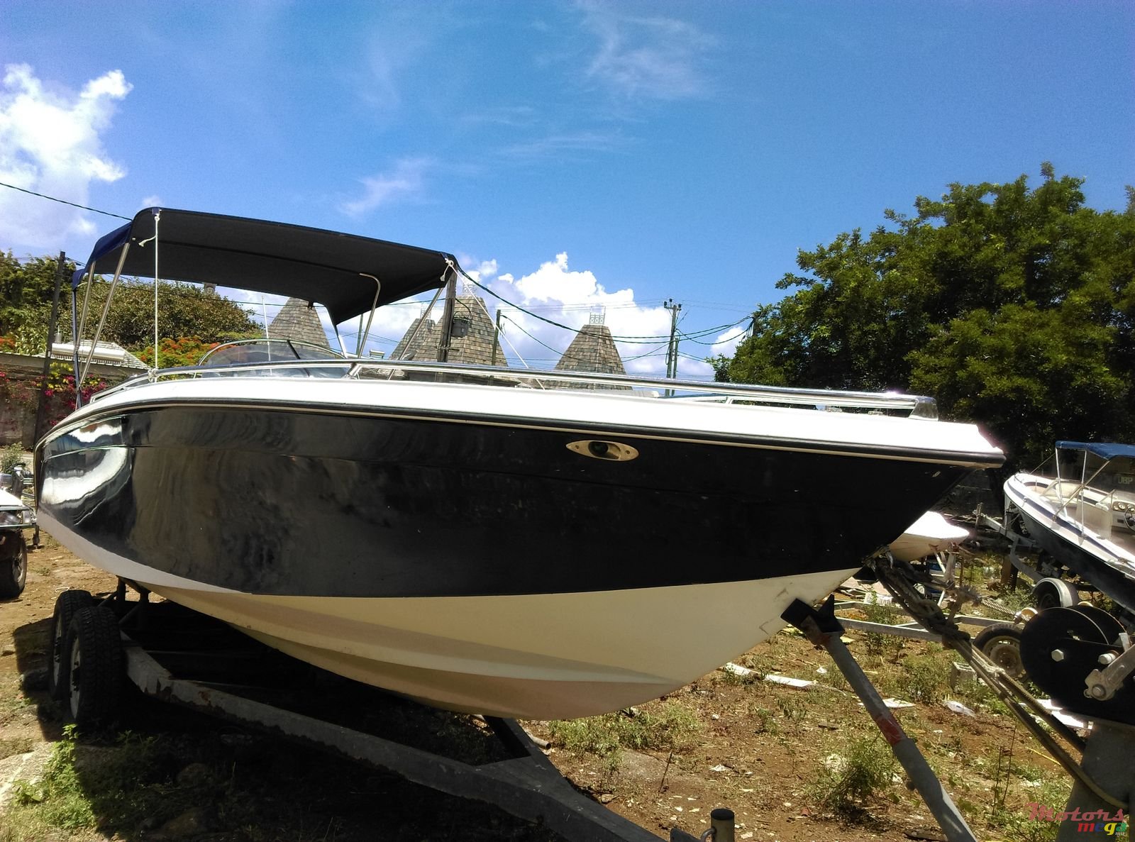 2009' Cobra photo #1