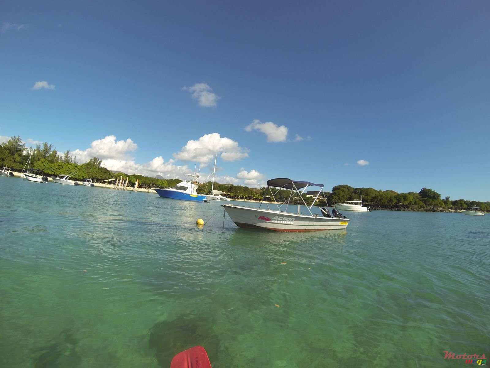 2016' Lagoon lagooner photo #7