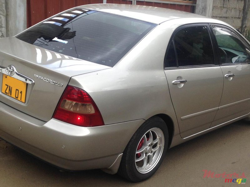 2001' Toyota Corolla NZE photo #2