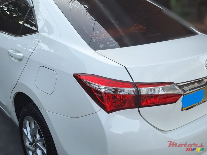 2019' Toyota Corolla NO photo #2